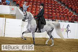 14buck_6185 proof