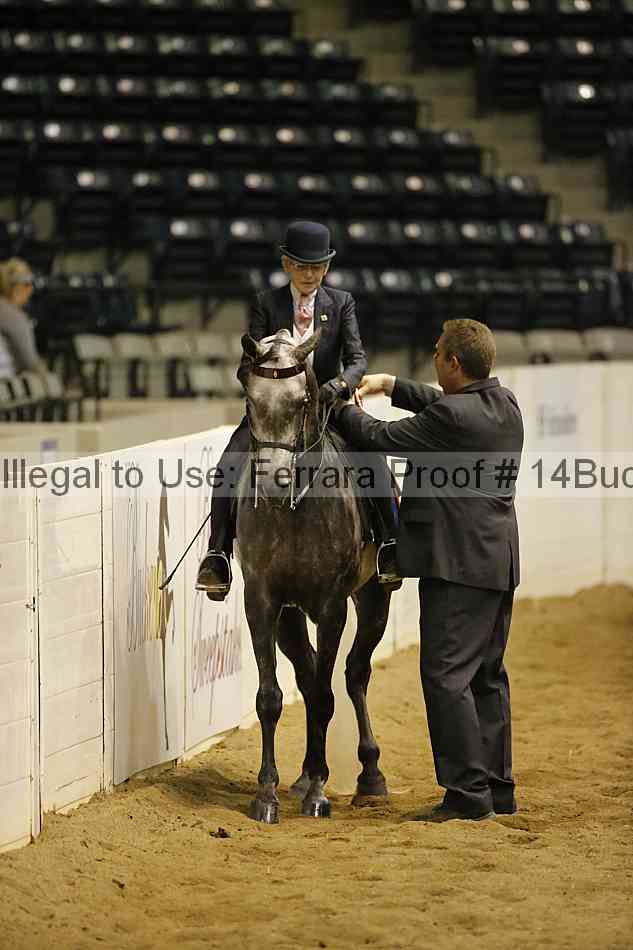Proof 14buck_6189