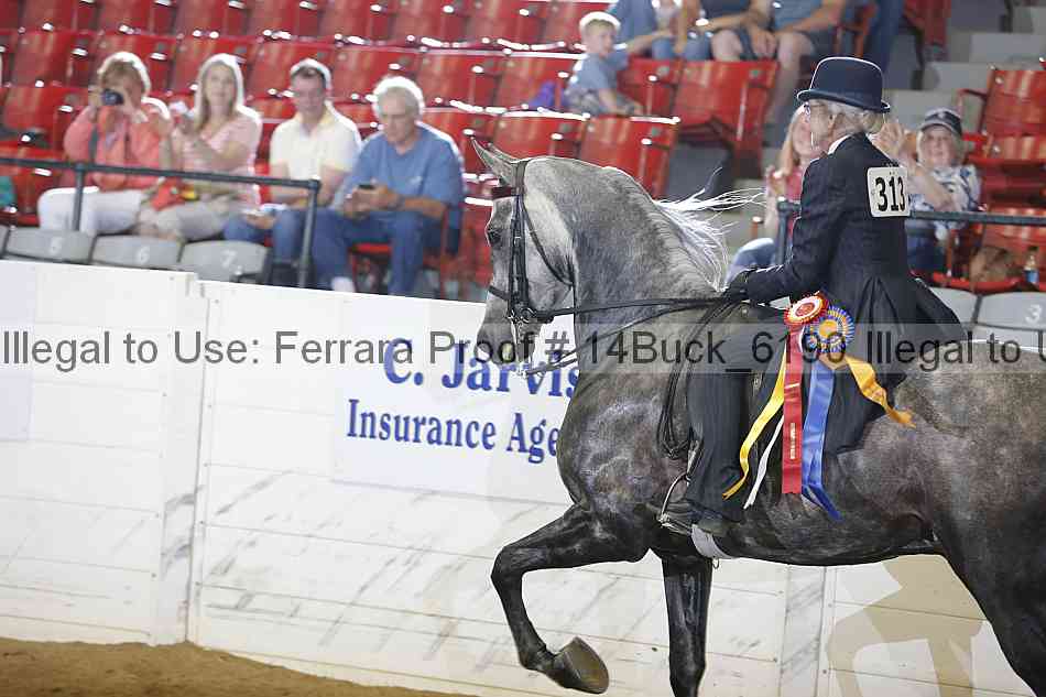 Proof 14buck_6190