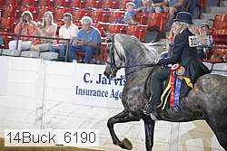 14buck_6190 proof