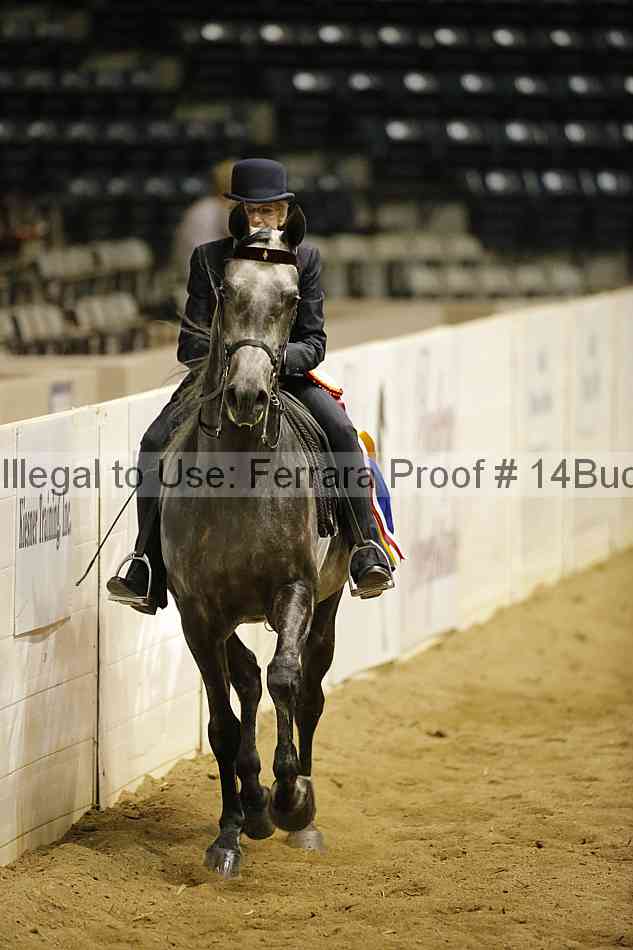 Proof 14buck_6191