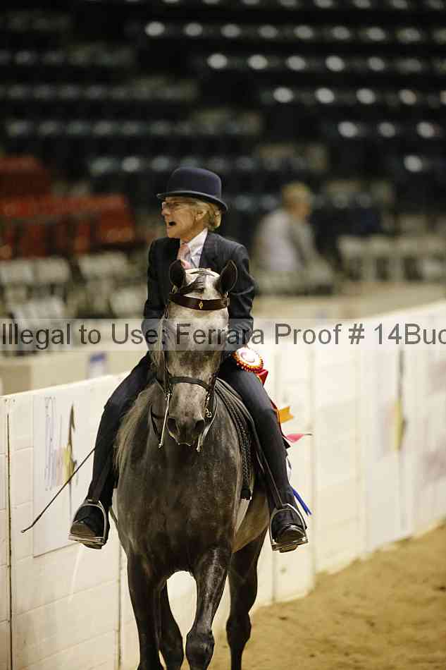 Proof 14buck_6193