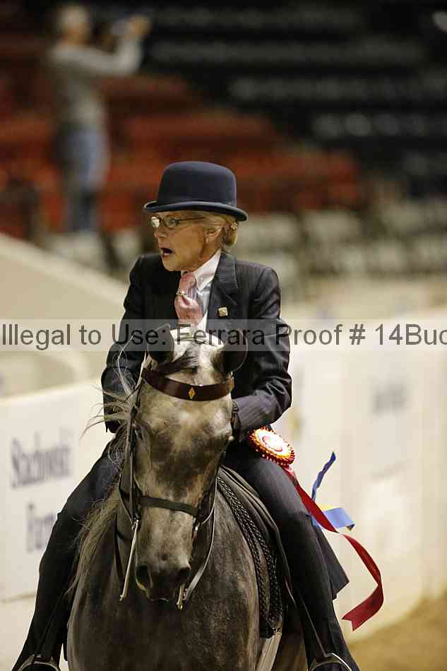 Proof 14buck_6195