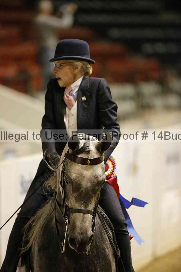 Proof 14buck_6196