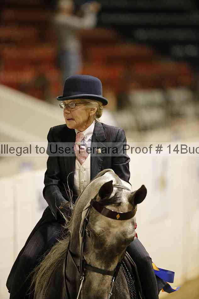 Proof 14buck_6197