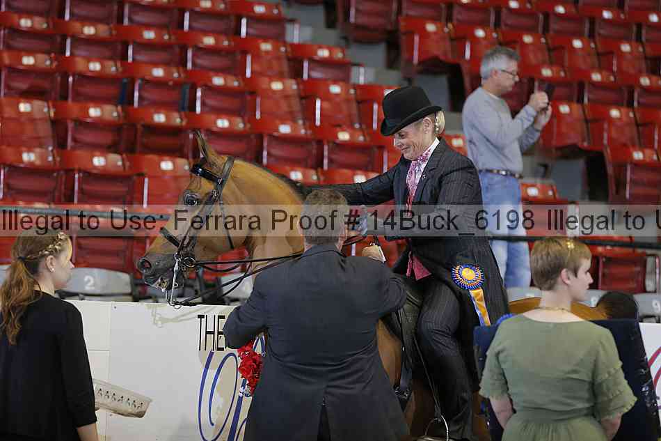Proof 14buck_6198