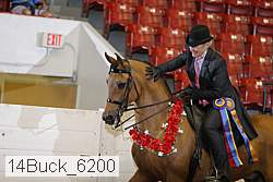 14buck_6200 proof
