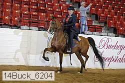14buck_6204 proof