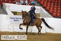 14buck_6205 proof