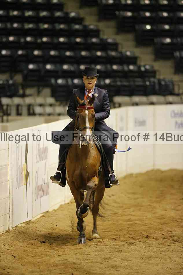 Proof 14buck_6206