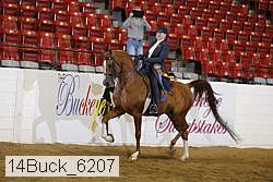 14buck_6207 proof