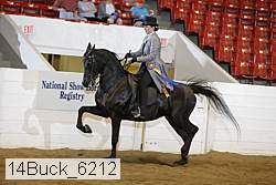 14buck_6212 proof