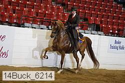14buck_6214 proof
