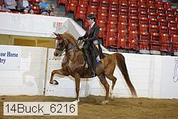 14buck_6216 proof
