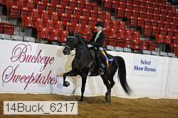 14buck_6217 proof