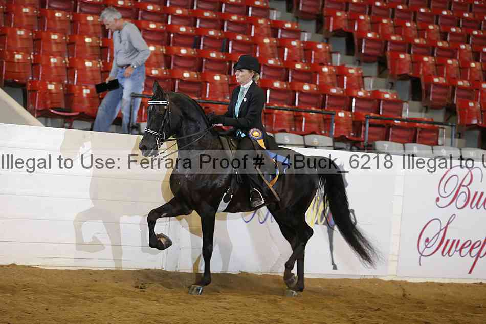 Proof 14buck_6218
