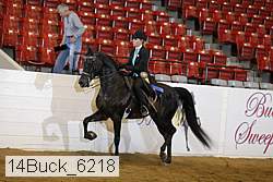 14buck_6218 proof