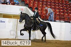 14buck_6219 proof