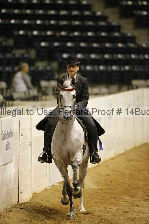 Proof 14buck_6223