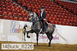 14buck_6226 proof