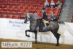 14buck_6227 proof