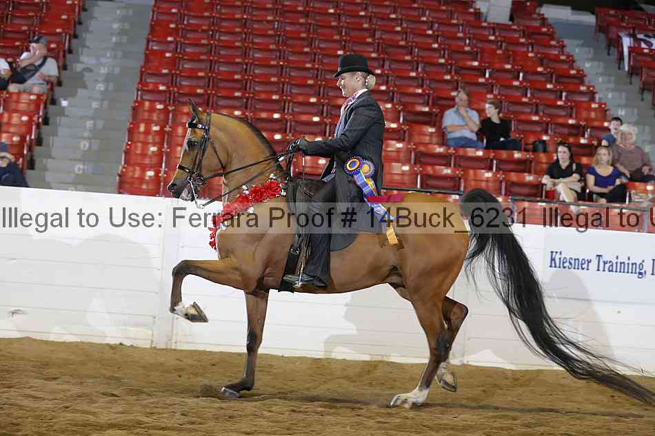 Proof 14buck_6231
