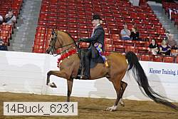 14buck_6231 proof