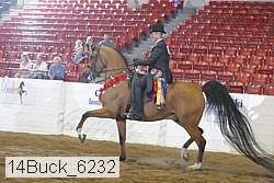 14buck_6232 proof