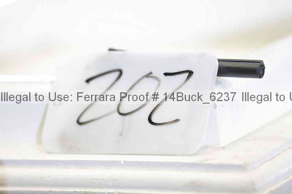 Proof 14buck_6237