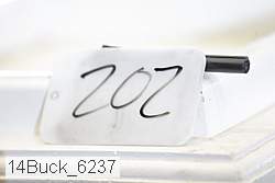 14buck_6237 proof