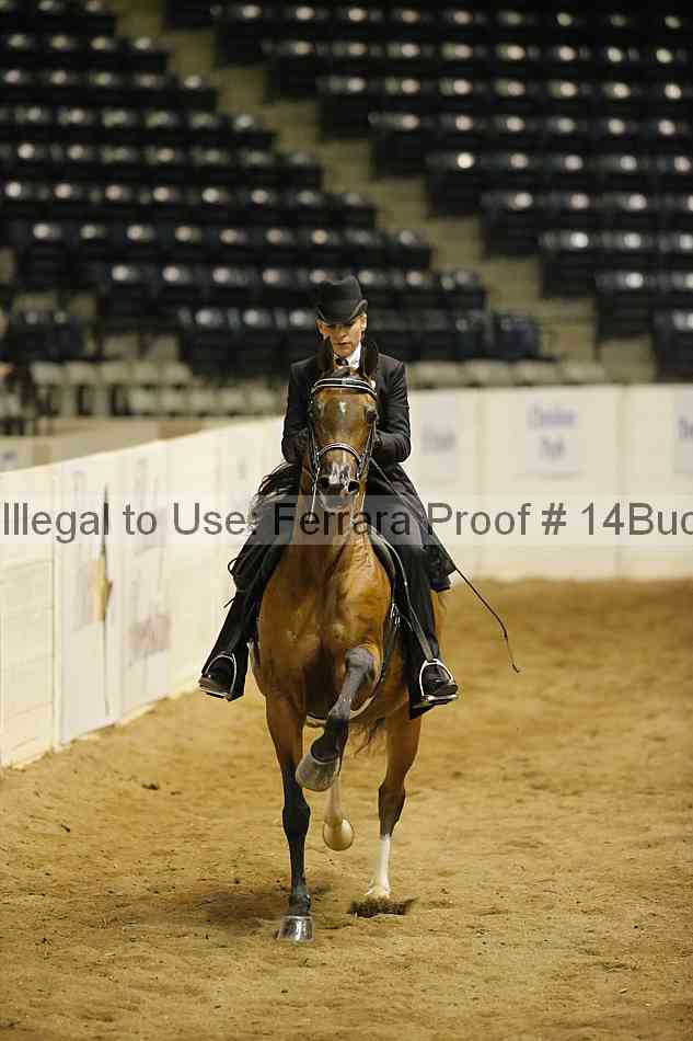 Proof 14buck_6238
