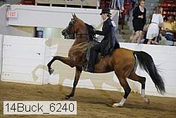 14buck_6240 proof