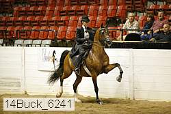 14buck_6241 proof