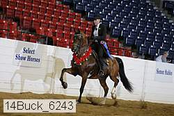14buck_6243 proof