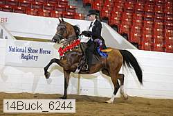 14buck_6244 proof