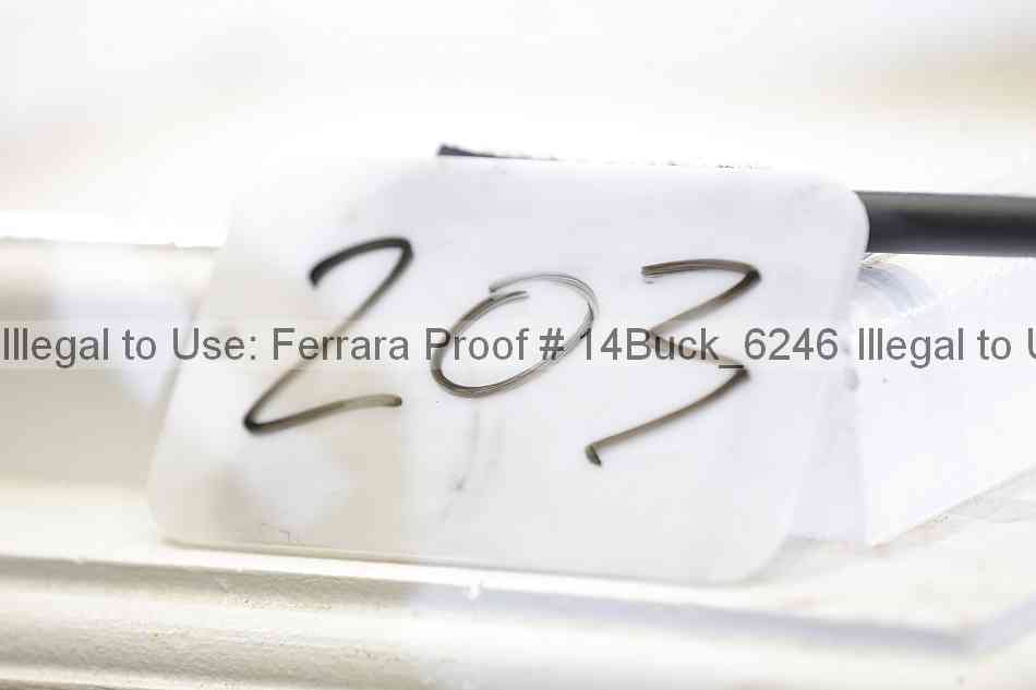 Proof 14buck_6246