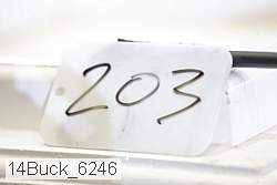 14buck_6246 proof