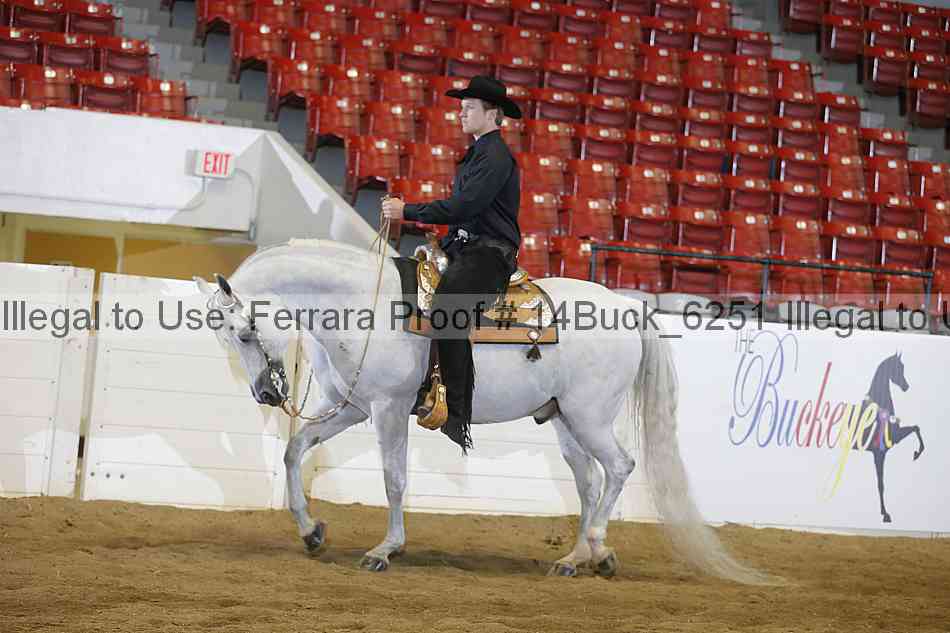 Proof 14buck_6251
