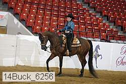 14buck_6256 proof