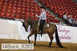 14buck_6262 proof