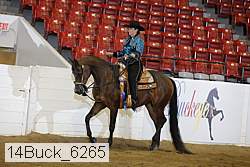 14buck_6265 proof