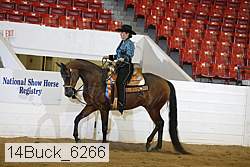 14buck_6266 proof