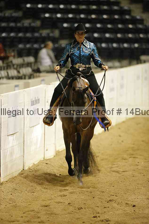 Proof 14buck_6267