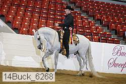 14buck_6268 proof