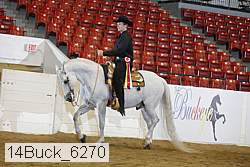 14buck_6270 proof