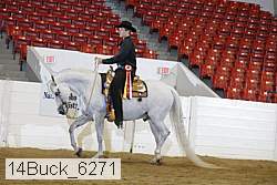 14buck_6271 proof