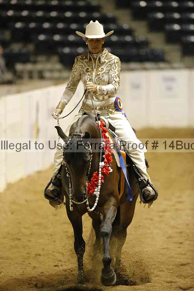 Proof 14buck_6278