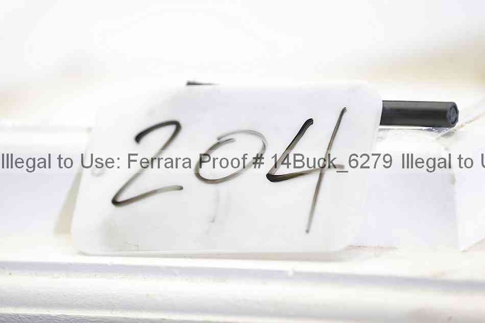 Proof 14buck_6279