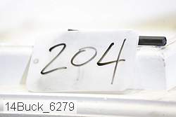 14buck_6279 proof