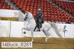 14buck_6281 proof